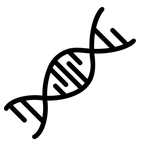 Regenerate Icon