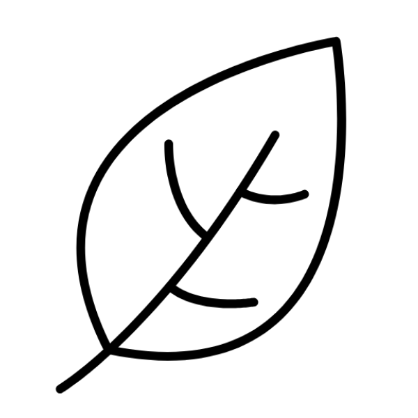 Restore Icon